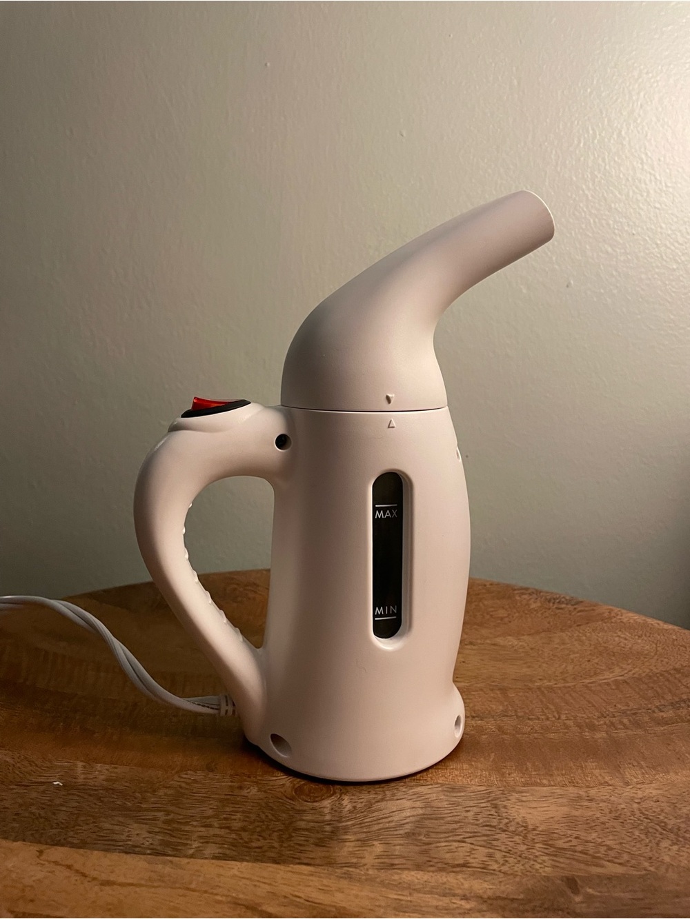 White travel steamer with travel pouch